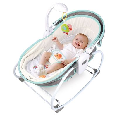 Teknum 6 - in - 1 Cozy Rocker Bassinet with Wheels, Awning & Mosquito net - Green