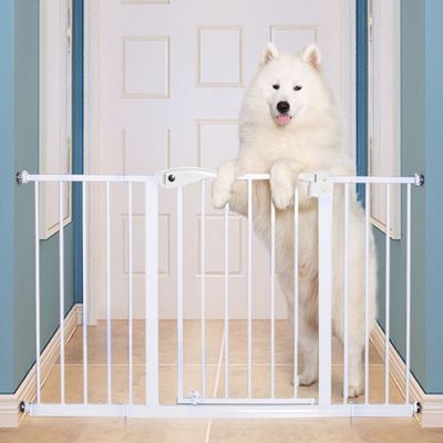 Eazy Kids Baby Safe - Safety Gate Extension 30Cm - White