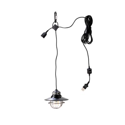 Edison Pendant Light (Bronze)