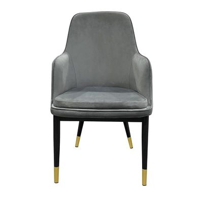 Velvet Upholstered Stainless Steel Armchair with Golden Legs - Grey