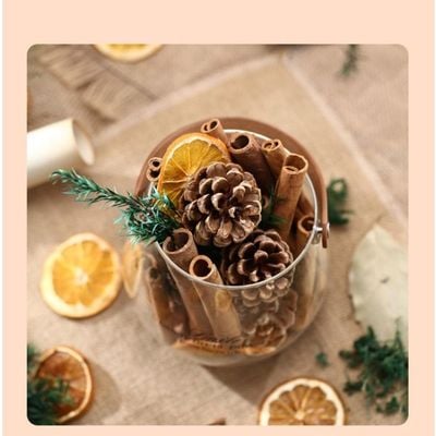 Diffuser Cup With Cinnamon And Natural Plants - Size 6-6 Cm