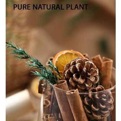 Diffuser Cup With Cinnamon And Natural Plants - Size 6-6 Cm