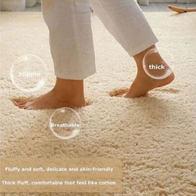 Modern Wool Fluffy Floor Mat Carpet with Anti slip High Pile Bottom with Upgraded Foam (Size 120-160CM)