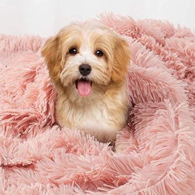 Comfortable Ultra Soft Pet Blanket With Self Warming Soft Cushion with Fleece Hand feel