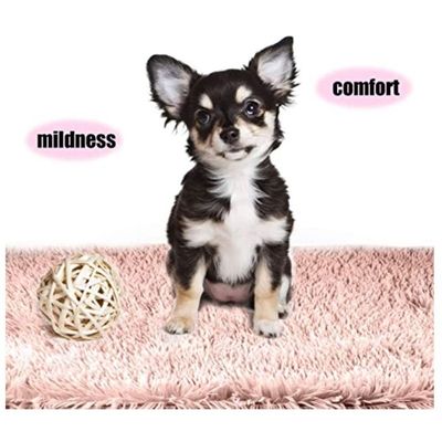 Comfortable Ultra Soft Pet Blanket With Self Warming Soft Cushion with Fleece Hand feel