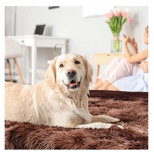 Comfortable Ultra Soft Pet Blanket With Self Warming Soft Cushion with Fleece Hand feel