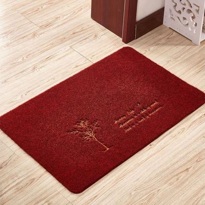 Entrance Doormat With Hard Texture Non Slip Carpet Also For Bathroom Kitchen Living Room Laundry Room Bedroom Hallway etc. With Beautiful Design. (Size 40-60CM)