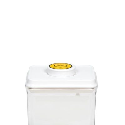 Airtight 2.3 Liter Rectangle Food Popup Container