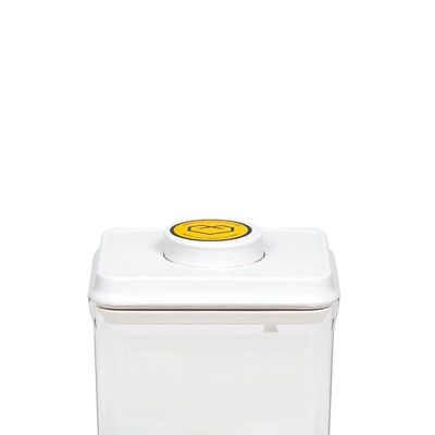 Airtight 2.3 Liter Rectangle Food Popup Container