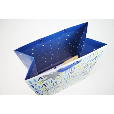 Eurowrap Gift Bag, Paper, Multi, Large