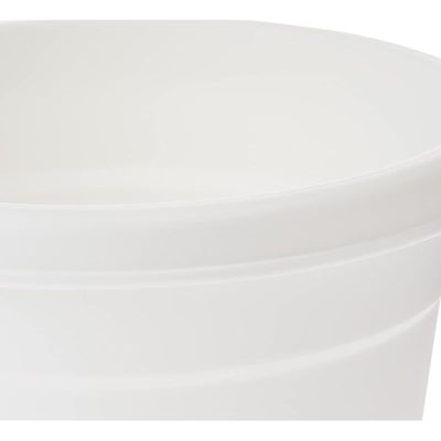 Cosmoplast Plastic Round Flowerpot 6 with Tray-P