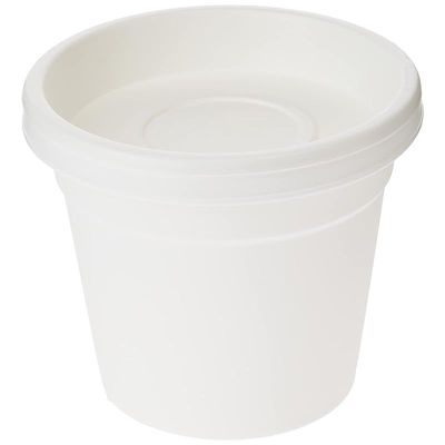 Cosmoplast Plastic Round Flowerpot 6 with Tray-P