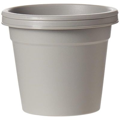 Cosmoplast Plastic Round Flowerpot 6 with Tray-P