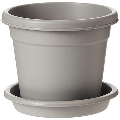 Cosmoplast Plastic Round Flowerpot 6 with Tray-P