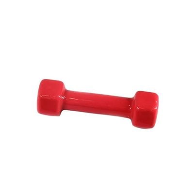 Hexagonal Dumbbell 2kg