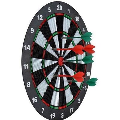 Durable Molded Plastic Safety Dart Board With Hanger Hook