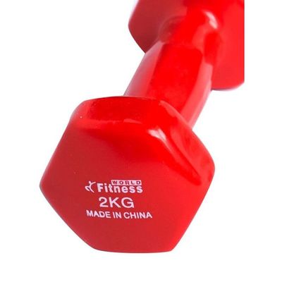 Weight Lifting Dumbbell 2kg