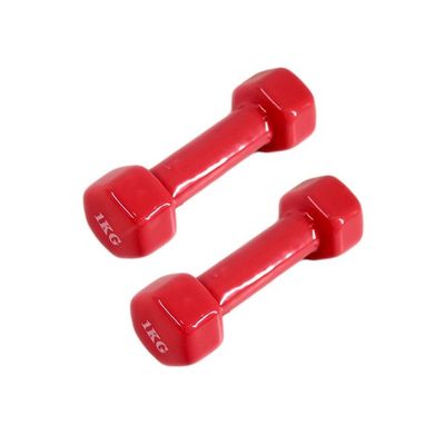 Set Of 2 Hexagonal Dumbbell 2kg