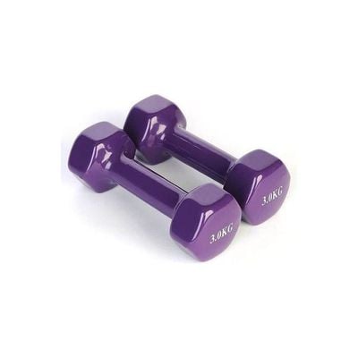 2-Piece Dumbbells Vinyl 2kg