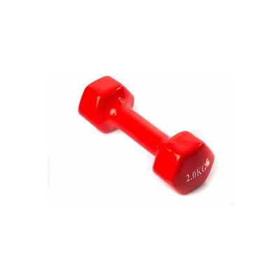 Fitness World  Dumbbell Weight 2kg