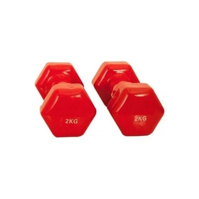 Double Dumbbells Vinyl 2kg