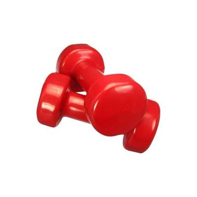 2-Piece Dumbbells Set 2x3kg