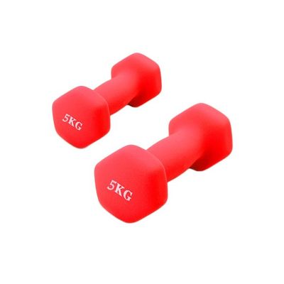 Set Of 2 Hexagonal Dumbbell 5kg