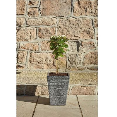 Strata, Made in UK, Slate Effect Planter, Decorative planter, STR-GN577-PEW-ST