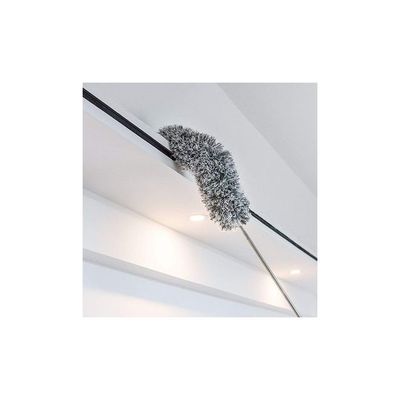 Telescopic Feather Duster grey