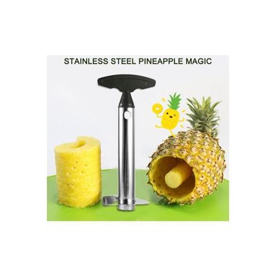 Stainless Steel Pineapple Peeler Silver/Black 83.7x83.7x245millimeter