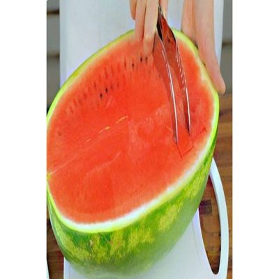 Water Melon Slicer And Server Silver