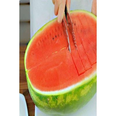 Water Melon Slicer And Server Silver