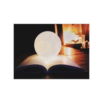 3D Moon LED Lamp With Stand White/Brown 13 x 13Cm