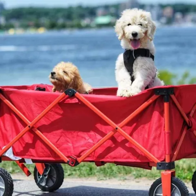 Folding Shopping Cart Red