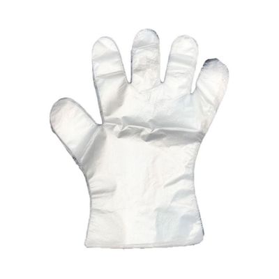 Pack Of 100 Disposable Plastic Gloves Clear 26x2x16centimeter