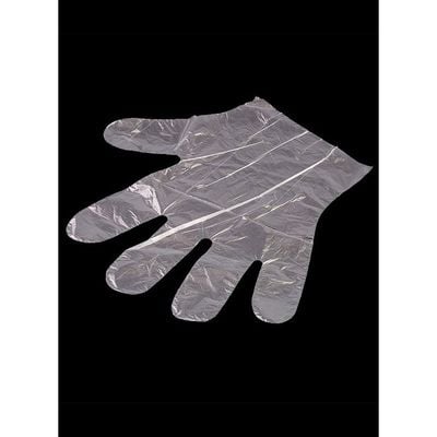 Plastic Disposable Gloves Clear/Blue/Silver