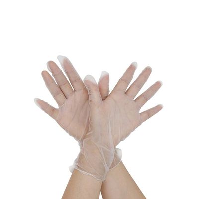 100-Piece Disposable Vinyl Gloves Transparent 13x7x24centimeter