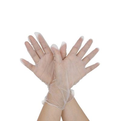 100-Piece Disposable Vinyl Gloves Transparent 13x7x24centimeter