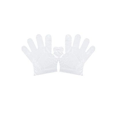 500-Piece Disposable PE Gloves Clear 24.5x5.4x13.4centimeter