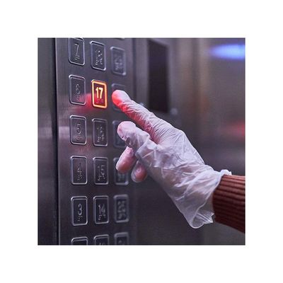 200-Piece Disposable Vinyl Hand Gloves Clear L