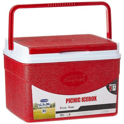 Cosmoplast Keep Cold Plastic Picnic Cooler Icebox Lunchbox