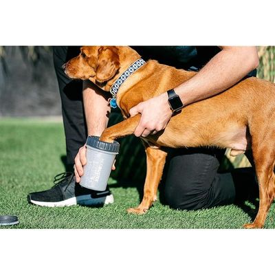 Dexas Lidded Mudbuster Portable Dog Paw Cleaner, Light Gray, Large With Lid