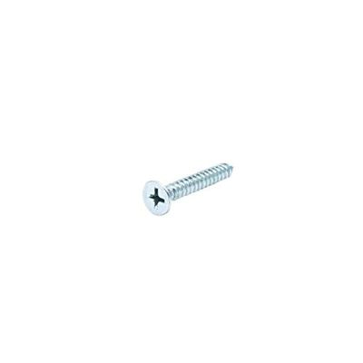 Homesmiths Self Tapping Screw 1Inch X 6Mm (10Pcs Per Pack)