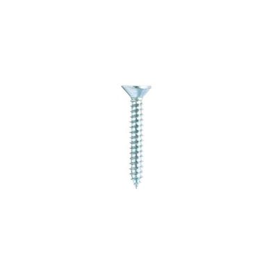 Homesmiths Self Tapping Screw 1Inch X 6Mm (10Pcs Per Pack)