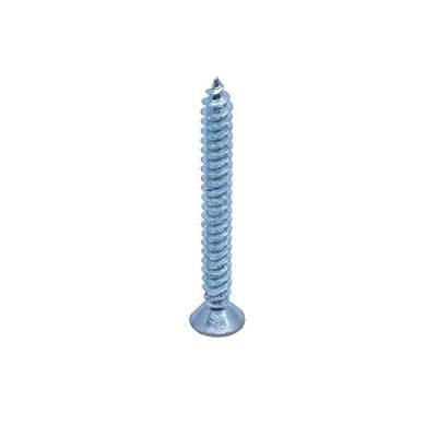 Homesmiths Self Tapping Screw 1Inch X 10Mm (10Pcs Per Pack)