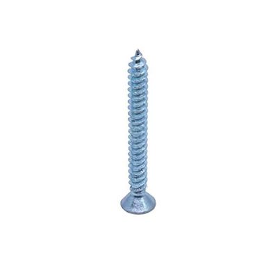 Homesmiths Self Tapping Screw 1Inch X 10Mm (10Pcs Per Pack)