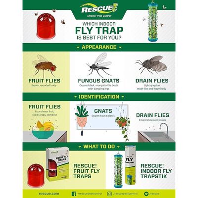 Rescue Fruit Fly Trap Refill