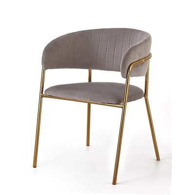 Angela Modern Comfortable Velvet Living Room Chair With Gold Legs - Light Grey