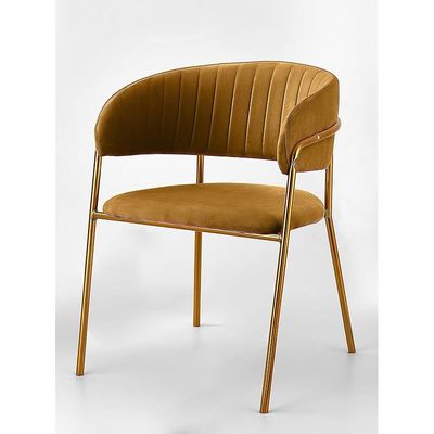 Angela Modern Comfortable Velvet Living Room Chair With Gold Legs - Brown