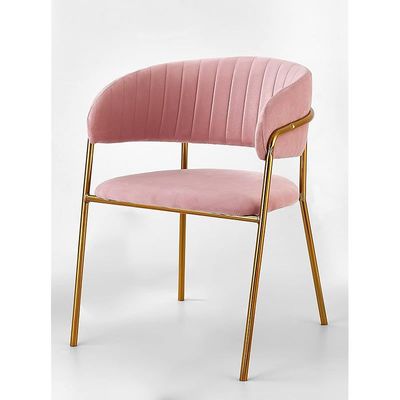 Angela Modern Comfortable Velvet Living Room Chair With Gold Legs - Pink